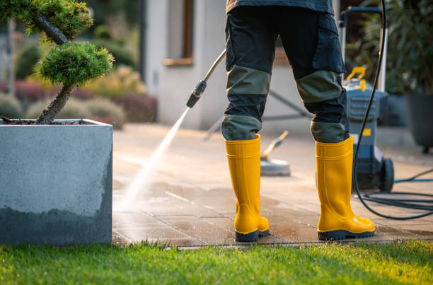 Best Roof Power Washing Services  in East Northport, NY